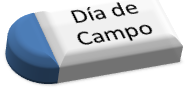 Día de campo